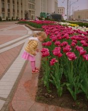 Девочка и тюльпаны / симпатичный ребёнок и мои любимые тюльпаны=)