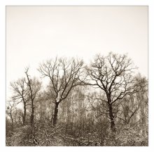 Великаны / http://did-e.livejournal.com/