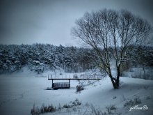 зимний пейзажец / речушка и лес
