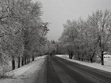 пасярод прыгажосці / ўўўўўўўўўў