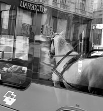 Остановка во времени / В старой Вене мирно сосуществуют лошади (с фаэтонами) и автобусы. 
Они  двигаются параллельно по многокилометровому кольцу 
так естественно, как если бы время перемещалось вместе с ними. 
И так же смиренно останавливаются на красный свет. В такой момент я и сделал этот снимок. 
Все смешалось… :)