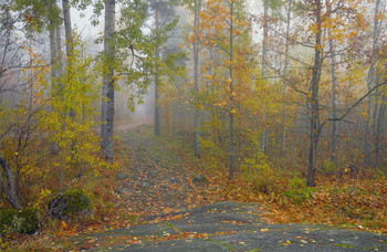 Пятничные тропинки / Каменный остров. Приозерск.