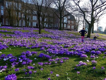 Planten un Blomen Hamburg / Парк цветов в Гамбурге. Время крокусов

Слайд-шоу &quot;Парк цветов летом&quot;

https://www.youtube.com/watch?v=glVWjqRqZr0

Слайд-шоу &quot;Парк цветов весной&quot;

https://www.youtube.com/watch?v=kJVKlWcQxCg

Слайд-шоу &quot;Парк цветов осенью&quot;

https://www.youtube.com/watch?v=_Q7gRXGUa5A
Слайд-шоу &quot;Розы&quot;

https://www.youtube.com/watch?v=2jSTxDgGqsI

Слайд-шоу &quot;Цветы&quot;

https://www.youtube.com/watch?v=JYadETNgWMY