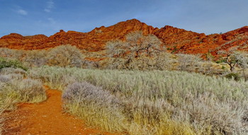 Пятничные тропинки / Red Cliffs National Park, Utah, USA