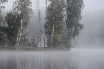 Утреннее.......... / Петербург. Осиновая Роща. Август