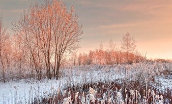 Зимняя подсветка вечерним солнцем / Зимняя подсветка вечерним солнцем