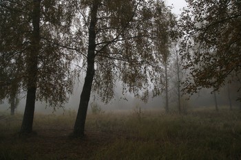 Туман осенний / ***