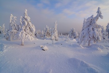 На рассвете. / Утро на Среднем Урале.