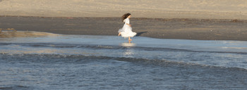 Уличная фотография / Girl &amp; Sea