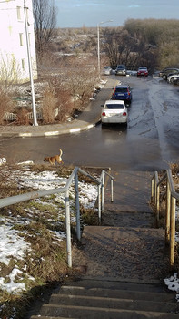 Прощальный аккорд зимы / вот вспомнил
последний оскал зимы)
[img]https://d.radikal.ru/d20/2002/a8/45dbc1ba3b14.jpg[/img]