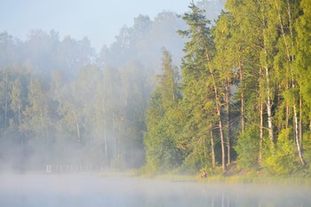 Утром туманным..... / Петербург. Юкки. Август