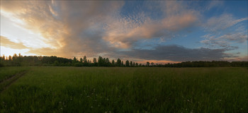 Вечер в поле / Кемерово, Западная Сибирь