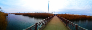 PUENTE QUE ATRAVIESA UN RÍO ESTRECHO / Ерик Казачий, переход из посёлка Мошаик в посёлок Инициативный.
Астрахань.