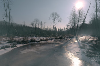 сила весеннего солнца / Подмосковье, река, весна