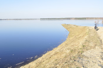 Перспектива покажет / разлив реки весной