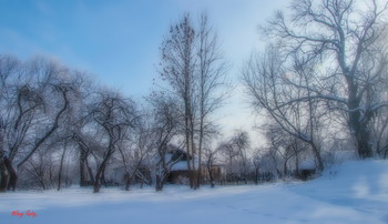 На зимовке. / Январь