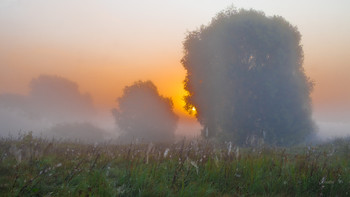 Осеннее утро. / Рассвет в поле.