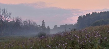 Раннее туманное летнее утро / Раннее туманное летнее утро