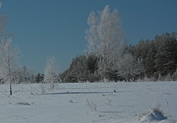 Зимнее утро. / &quot; &quot; &quot;