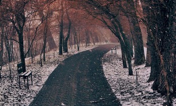 Зима вернулась в марте / Зима вернулась в марте