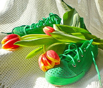 &nbsp; / а почему бы и нет