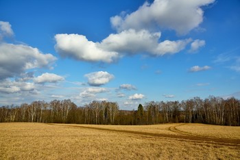 &quot;Облака, облака, в небесах вы плывете ...&quot; / &quot;Облака, облака, я шепчу облакам.
 Облака, облака, в небесах вы плывете.
 Расскажите о том, что ж вы ищете там.
 В неба синей тиши и никак не найдете ...&quot;