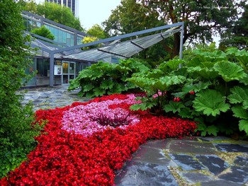 Planten un Blomen Hamburg / Слайд-шоу &quot;Лебеди&quot;

https://www.youtube.com/watch?v=CAeNjlhBcFc&amp;t=10s

Слайд-шоу &quot;Птицы&quot;

https://www.youtube.com/watch?v=b5vziYLabQ4&amp;t=14s

Слайд-шоу &quot;Парк цветов летом&quot;

https://www.youtube.com/watch?v=glVWjqRqZr0

Слайд-шоу &quot;Парк цветов весной&quot;

https://www.youtube.com/watch?v=kJVKlWcQxCg

Слайд-шоу &quot;Парк цветов осенью&quot;

https://www.youtube.com/watch?v=_Q7gRXGUa5A