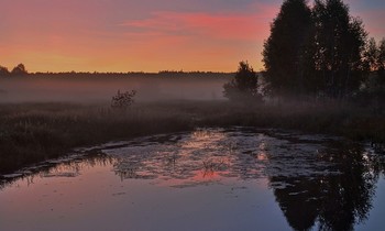 Наступает туманная ночь / Наступает туманная ночь