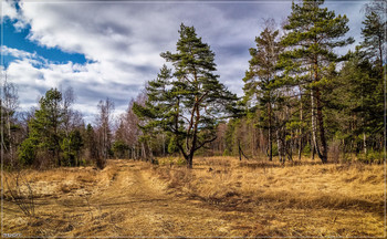Утро вчерашнего дня / Март 2020, Дрезна, МО