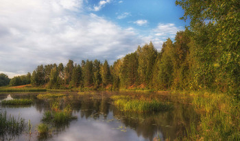 Лето / Лето, река
