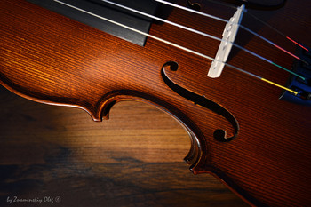 Violin / Violin waist detail on wooden background