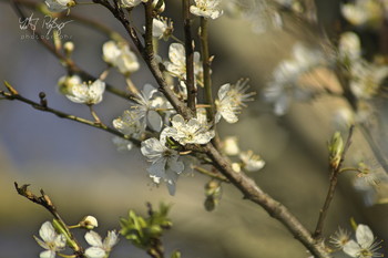  / Der Frühling ist da!