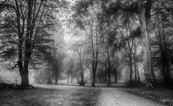 &nbsp; / Туманными дорожками