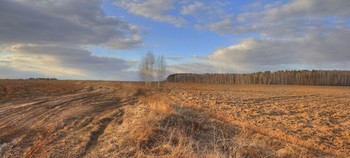 Весенняя проза / Московская обл.
