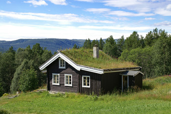 Как дома / В Норвегии часто высаживают траву на крыше дома. Вероятно, для утепления