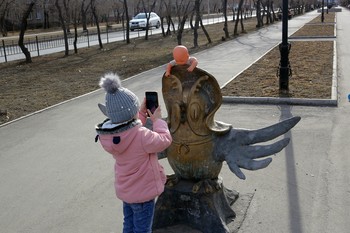 Юный фотограф / Родители поставили куклу и дали смартфон сфотографировать ребёнку для радости и удовольствия.