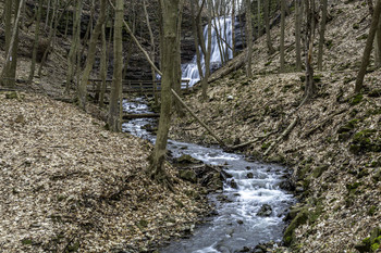 &nbsp; / Looking up the creek to Sherman falls is a fantastic view