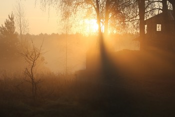 туман / Беларусь деревня туманное утро