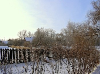 Январь в деревне / Зима в деревне