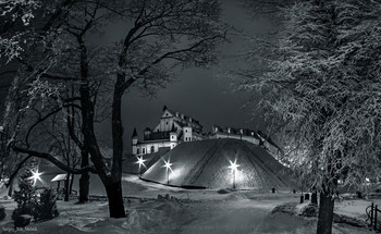Весь покрытый инеем, абсолютно весь... / ...замок Радзивиллов в Беларуси есть. 
Фото зимний ночной замок Радзивиллов в Несвиже в высоком разрешении для цифровой и офсетной печати ...всякой полиграфической ФИГНИ :)