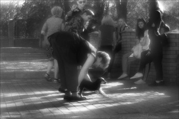 &nbsp; / Описывать фото словами??? Может ещё объяснять смысл анекдотов?