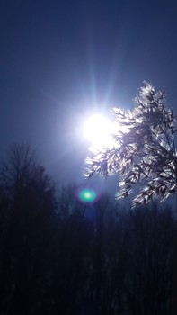 Фото с телефона / Весна....