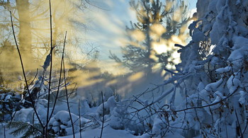 &nbsp; / зимнее