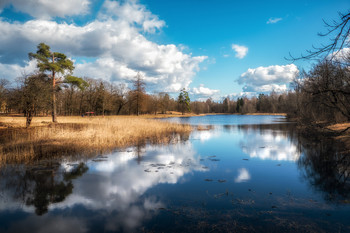 Filkino lake. Gatchina. April. / Park in early spring.