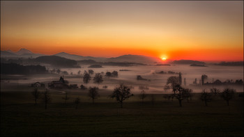 Nebellandschaft / Voralpen