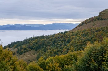 Карпаты Впадина между горами и в ней густой туман. / -------