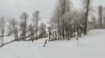 Вперёд к здоровью / На горно-лыжных трассах Роза Хутор на Кавказе