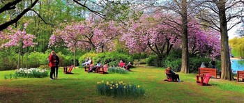 Stadtpark Hamburg / Городской парк Гамбурга - чудесное место отдыха с великолепными цветущими деревьями, тенистыми аллеями и солнечными полянками, лодочной станцией, где можно арендовать лодку и совершить прогулку по озеру, увидеть прекрасные скульптуры, полюбоваться лебедями и другими обитателями парка, насладиться общением с природой и красотой.
https://www.youtube.com/watch?v=FKUA4kQdSRU
Слайд-шоу &quot;Парк цветов летом&quot;

https://www.youtube.com/watch?v=glVWjqRqZr0

Слайд-шоу &quot;Парк цветов весной&quot;

https://www.youtube.com/watch?v=kJVKlWcQxCg

Слайд-шоу &quot;Парк цветов осенью&quot;

https://www.youtube.com/watch?v=_Q7gRXGUa5A

Слайд-шоу &quot;Розы&quot;

https://www.youtube.com/watch?v=2jSTxDgGqsI

Слайд-шоу &quot;Цветы&quot;

https://www.youtube.com/watch?v=JYadETNgWMY