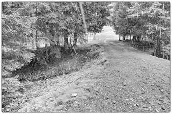 Мокрый снег / ***