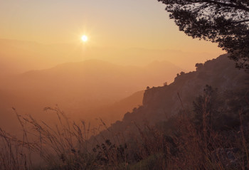 Солнце в тумане / Солнце в тумане, 2020